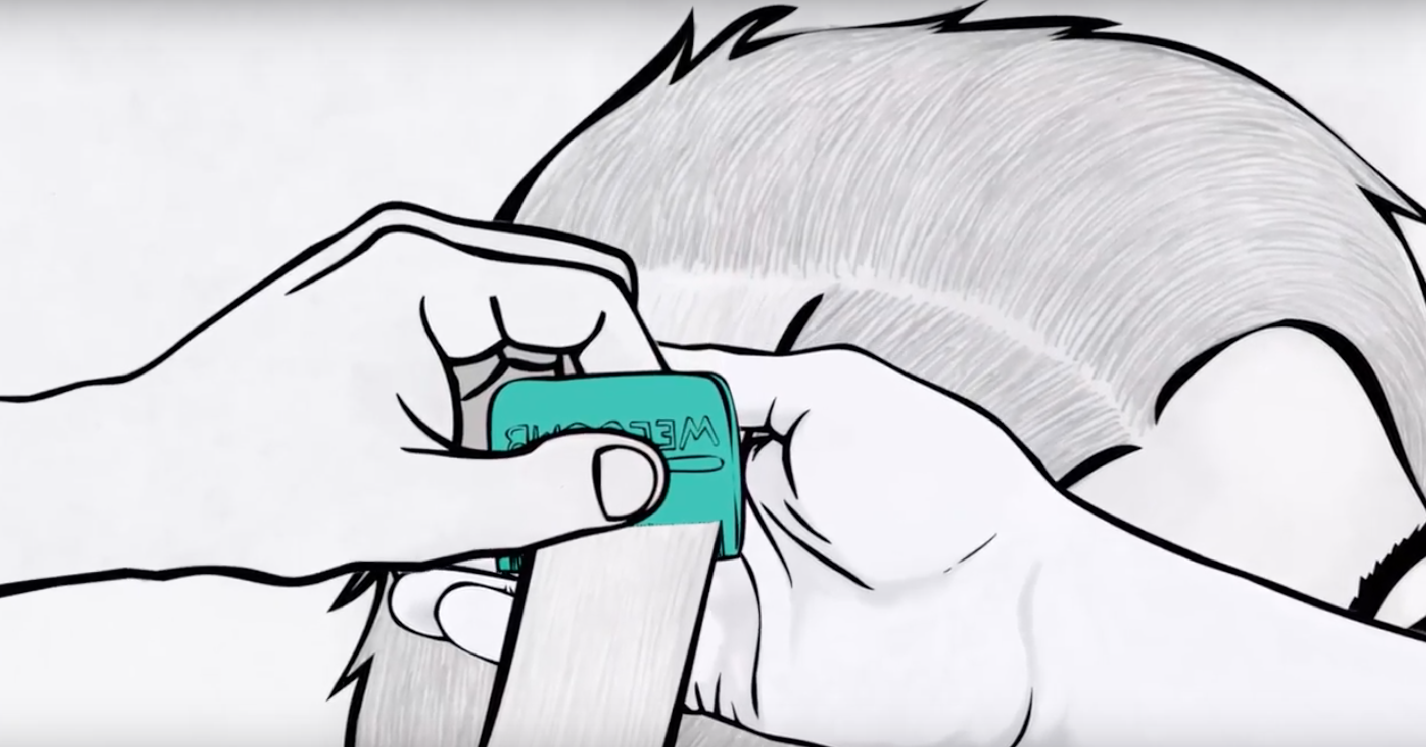 VIDEO: Cómo remover a los piojos y las liendres con WelComb®